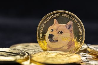 Ukraińskie wojsko można wspomóc dogecoinem i innymi kryptowalutami