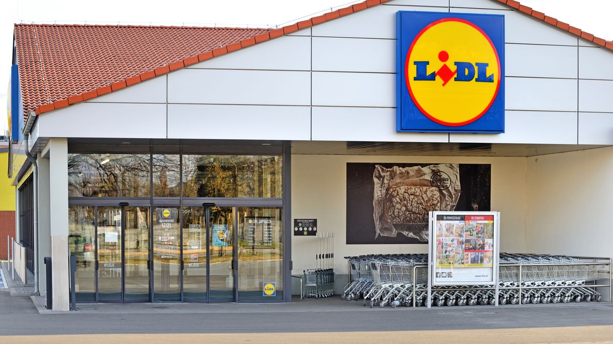 nowe promocje w Lidlu/ zdjęcie ilustracyjne