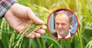 Zmiana w Zielonym Ładzie! Tusk przekazuje konkret dla rolników