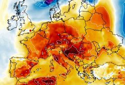 Nadchodzi odwilż. Termometry wskażą nawet do 10 stopni!