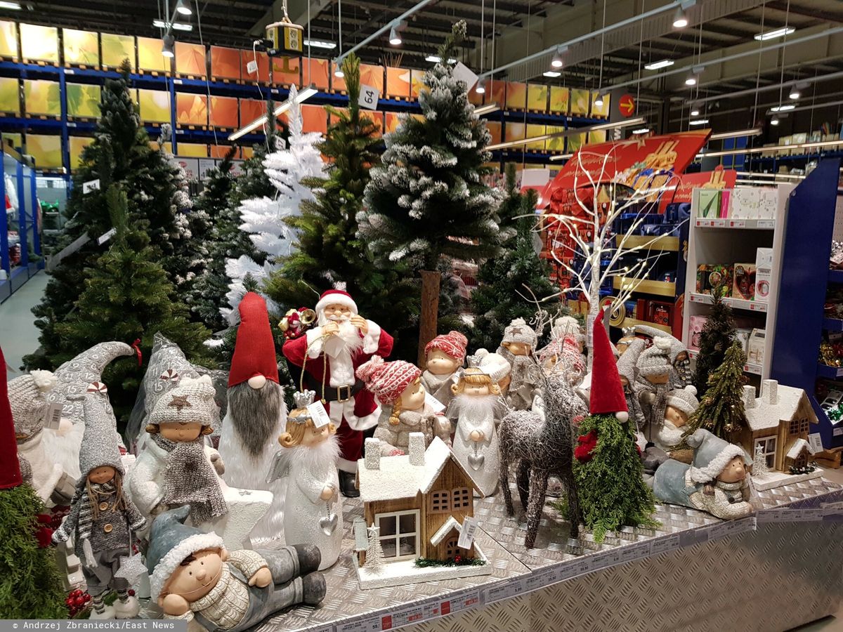 Warszawski sklep ogrodniczy, który słynie z pięknych wystaw świątecznych, poinformował o wprowadzeniu opłat za wstęp dla wszystkich klientów