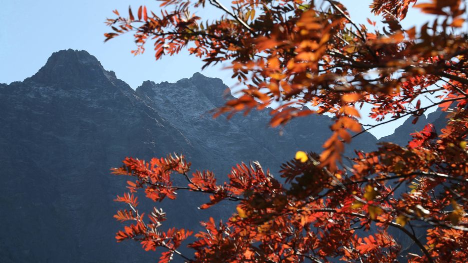 Tatry. Akcja TOPR na Rysach. Utknęło tam dwoje turystów