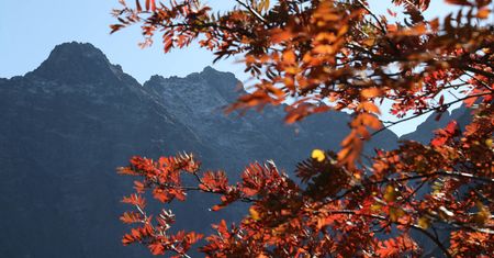 Tatry. Akcja TOPR na Rysach. Utknęła tam dwójka turystów