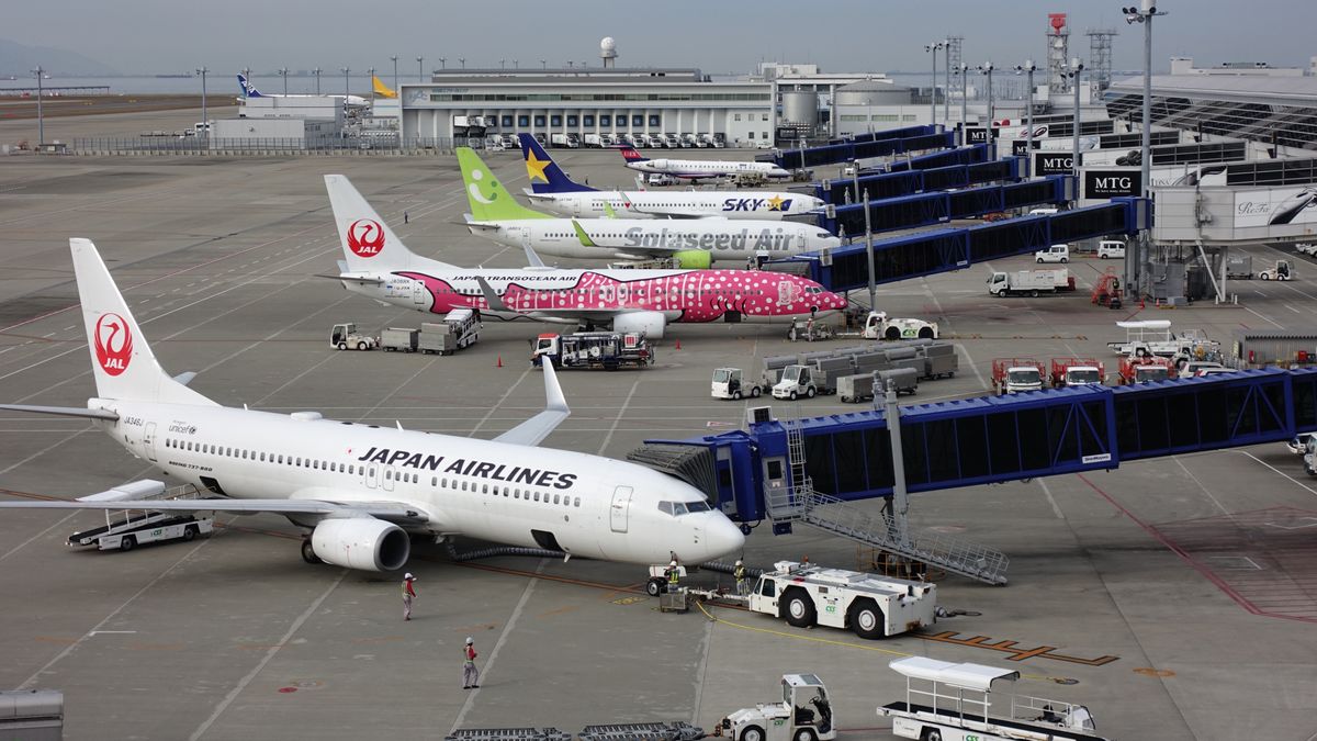 Japoński przewoźnik wymyślił nową usługę 