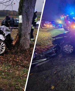 Zginął kierowca. Jedno auto uderzyło w drzewo, drugie w przystanek