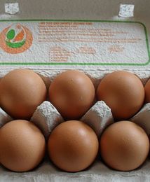Ceny jaj przed Wielkanocą stabilne, a nawet lekko spadają