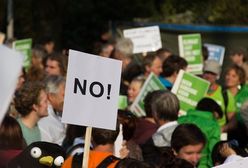 Strajk Polaków w Wielkiej Brytanii. Chcą pokazać, ile są warci dla gospodarki