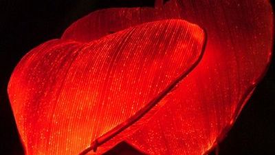 Poduszka dla zakochanych 1