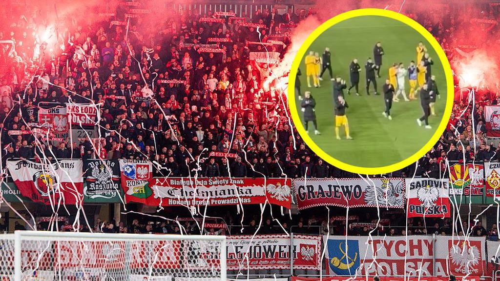 Getty Images / Foto Olimpik/NurPhoto / Na zdjęciu: kibice reprezentacji Polski, w ramce piłkarze reprezentacji Litwy