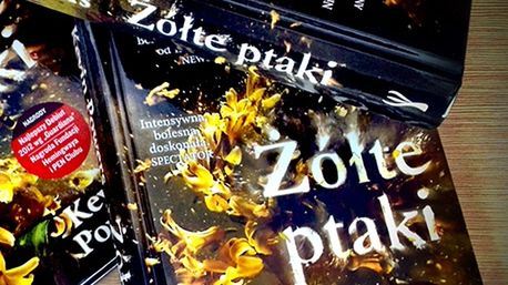 Obraz