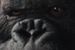 ''Kong: Skull Island'': Współscenarzysta ''Jurassic World'' spotka wielką małpę