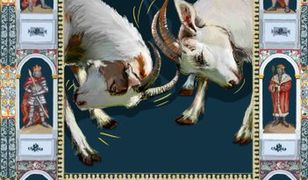 Słowik ma czarne serce