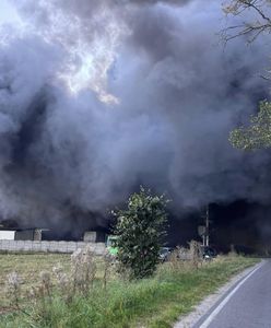 Policja zamknęła drogę. Ogromny pożar na Pomorzu, 21 zastępów w akcji