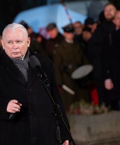 Demonstracja PiS skazana na porażkę? "Ludzie nie będą umierać za paskowego TVP"