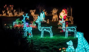 Polacy pokochali świąteczne iluminacje, ale czasami zapominają o… sąsiadach