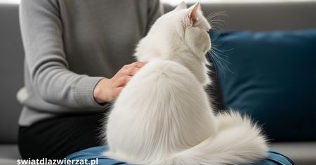 Dlaczego kot odwraca się tyłem? To wcale nie brak zainteresowania