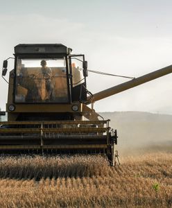 Zarabiają 175 tys. zł rocznie? Rolnicy oburzeni po ujawnieniu danych GUS