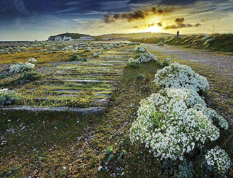 Znamy zwycięzców konkursu International Garden Photographer of the Year 2016 22