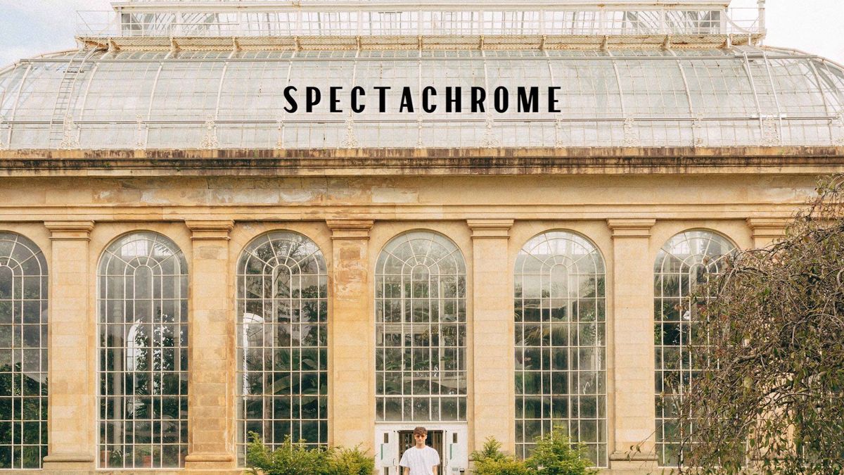 Okulary, które pozwolą ci spojrzeć na świat oczami Wesa Andersona 1