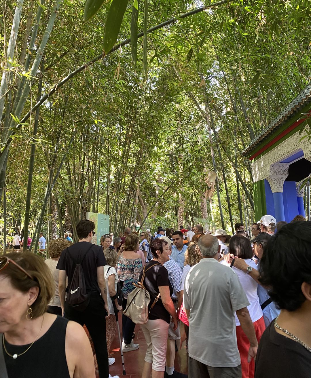 Tłumy w Jardin Majorelle