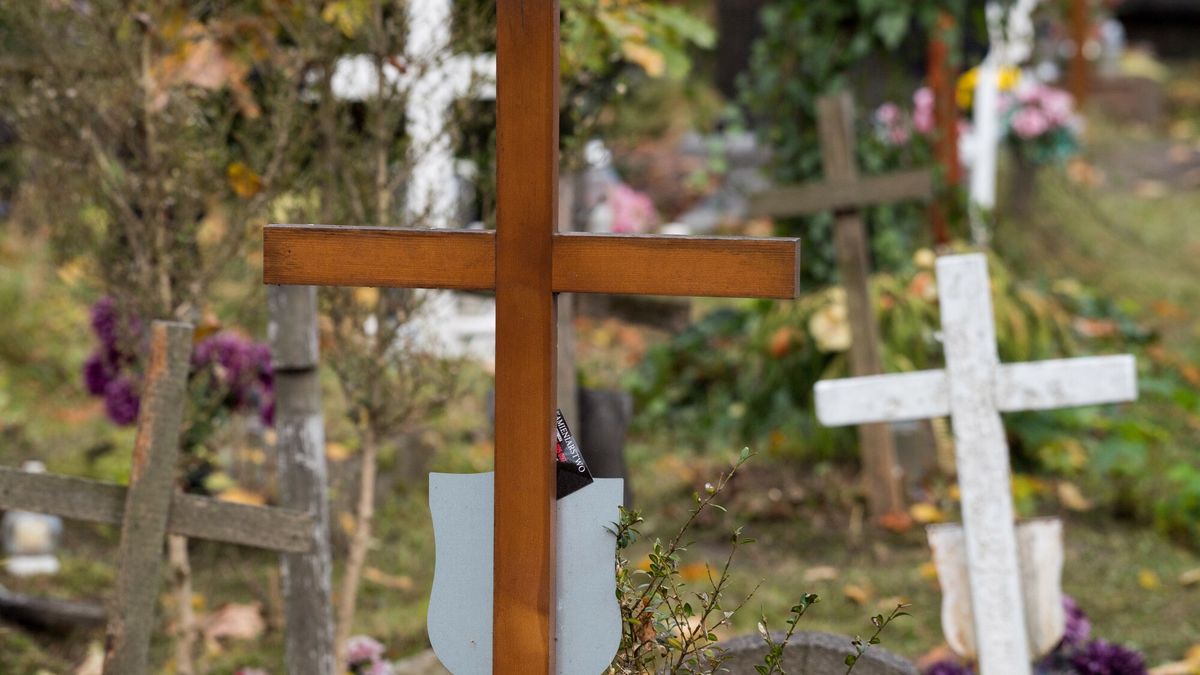 Przygotowania do ?wi?ta Wszystkich ?wi?tych
25.10.2022 Gdansk Cmentarz GarnizonowyFot. Wojciech Strozyk/REPORTER
Wojciech Strozyk/REPORTER