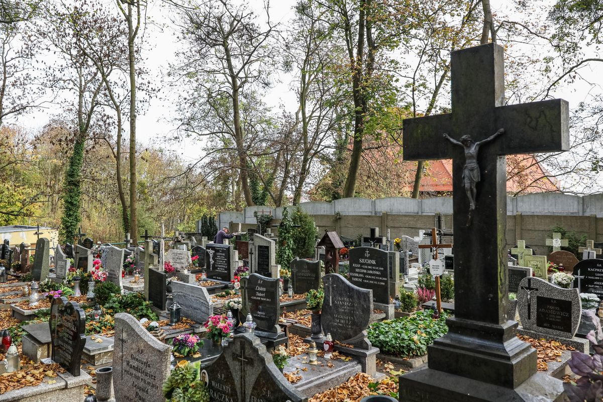 Mieszkańcy walczą z drożyną na cmentarzu. Papież im nie pomoże