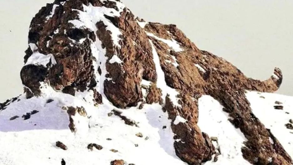 Iluzja optyczna - góry czy pies