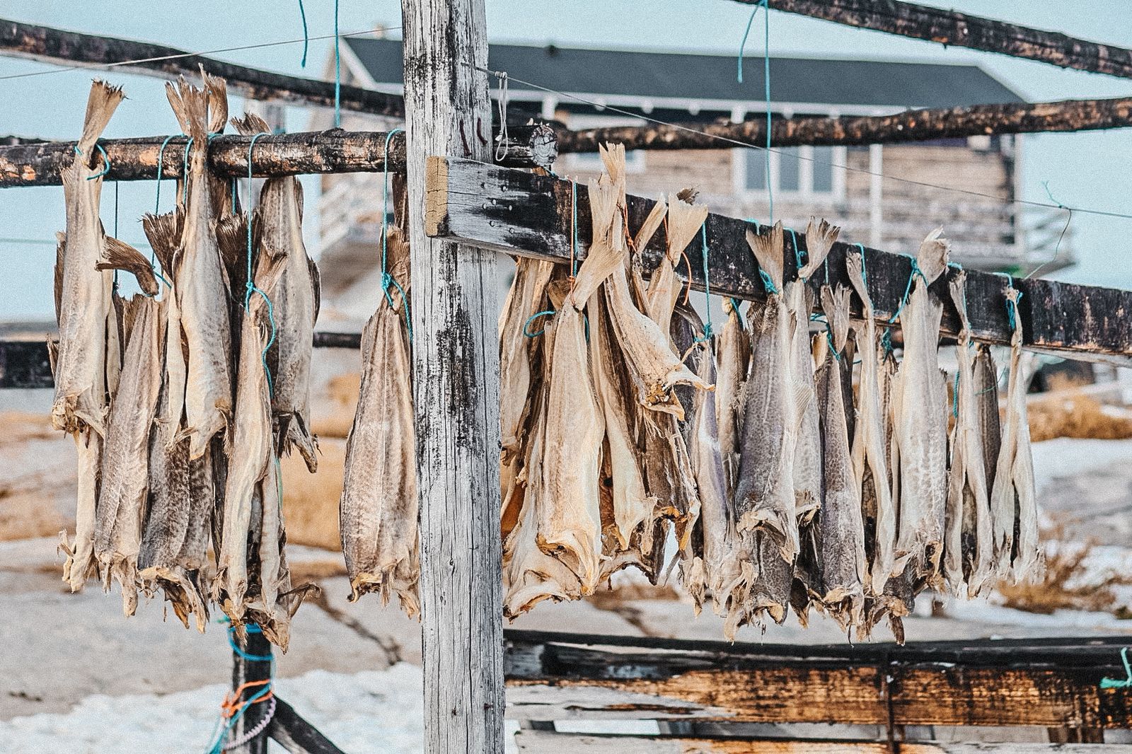Na Grenlandii tym co zachwyca najbardziej jest natura