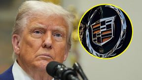 Nie boją się ceł Trumpa. "Odporny projekt"