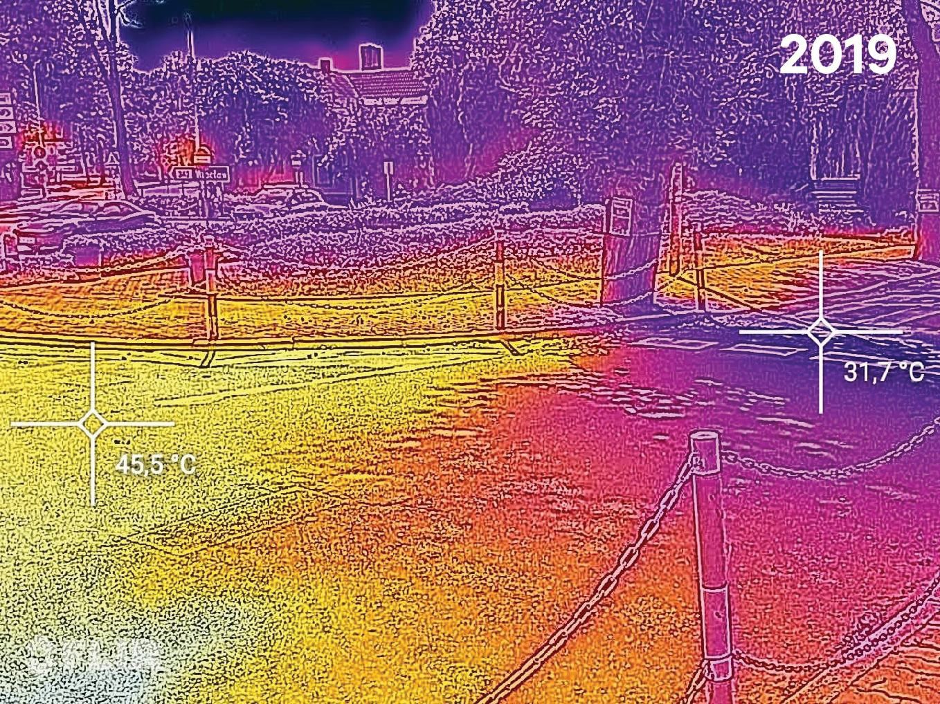 Temperatura przed wycinką drzew