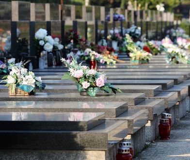 Stroiki na cmentarz 2022. Jakie kwiaty na groby bliskich na Wszystkich Świętych?