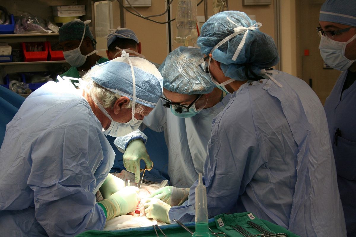 Ukraińscy lekarze uczyli się w Zabrzu, udało im się dokonać pierwszego przeszczepu płuc