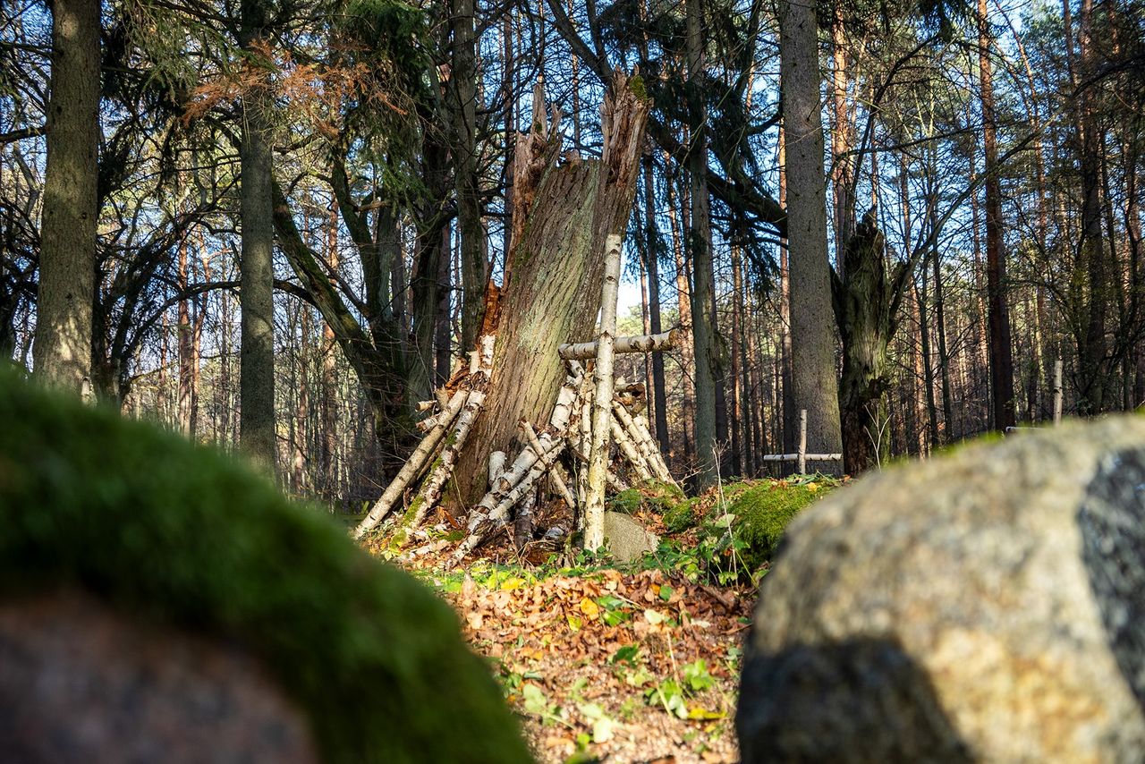Cmentarz Leśników, Dobrzyca