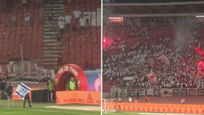 Wyciągnęła izraelską flagę. Kibice wpadli w furię