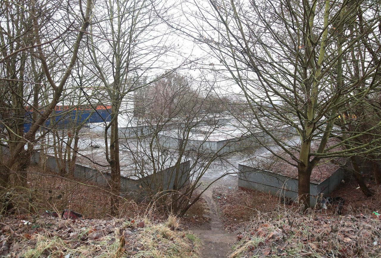 Szczecin: Całoroczne lodowisko coraz bliżej? Miasto wskazało cztery lokalizacje