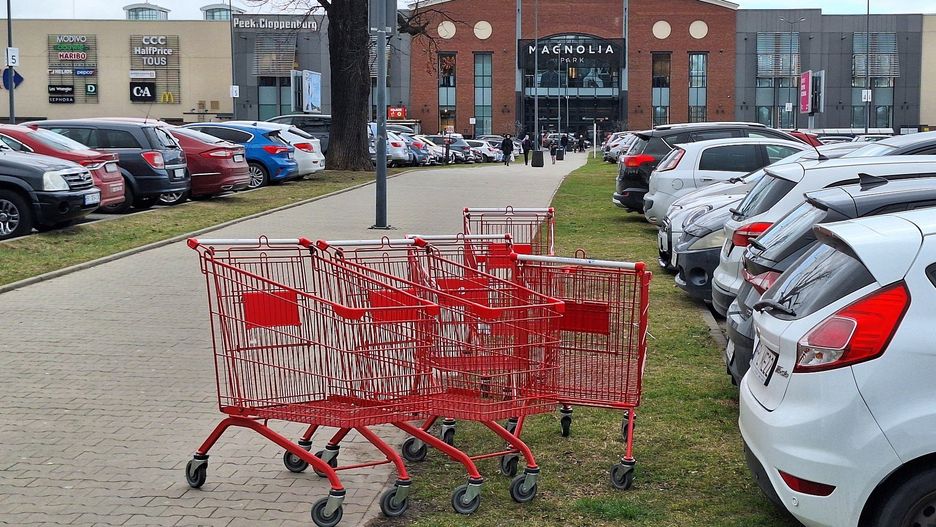 Polacy coraz częściej wybierają mniejsze sklepy na szybkie zakupy, rezygnując z większych i bardziej zaplanowanych wizyt. 