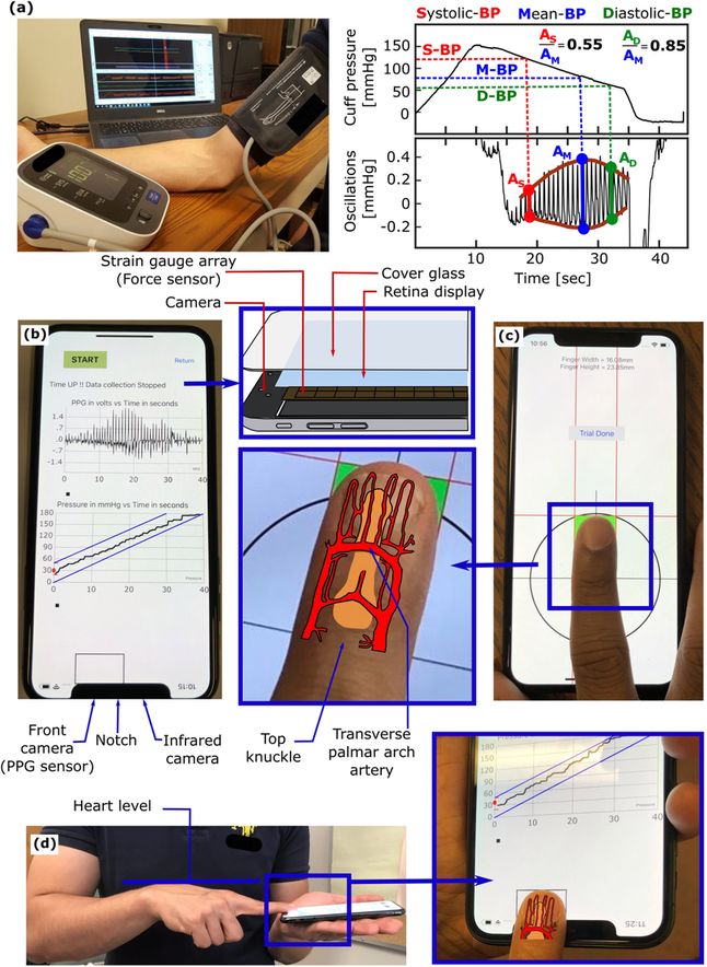 Smartfon jest w stanie zmierzyć ciśnienie krwi z dużą dokładnością