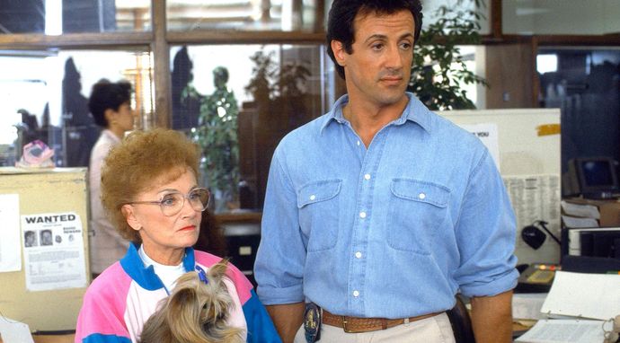 Stój, bo mamuśka strzela