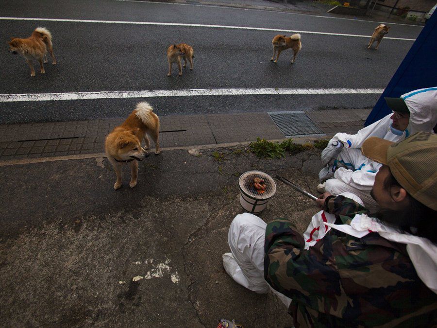 Fukushima. Jak wygląda atomowa zona w japońskim wydaniu? 14