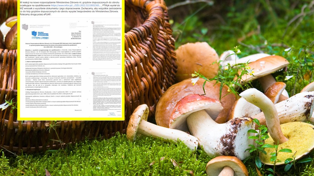 Polskie Towarzystwo Mykologiczne wnioskuje o wycofanie rozporządzenia MZ 