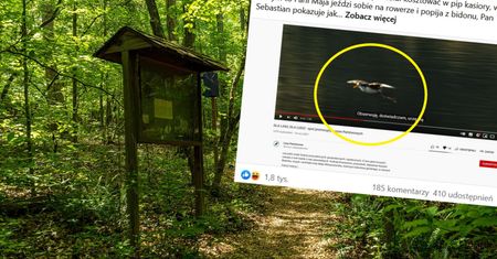 Wydali 48 tys. zł na promocję Polski. Wpadka Lasów Państwowych