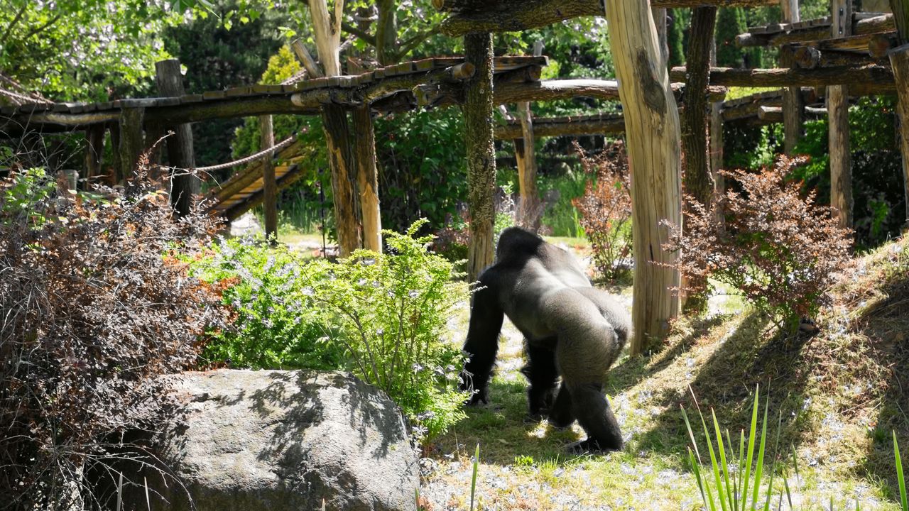 Turyści ciągle to robią. Zoo apeluje. "Ręce nam opadają"