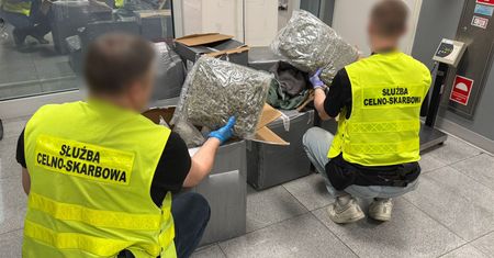 Ubrania, które pachniały przestępstwem. Ponad 50 kg narkotyków w paczkach z Kanady