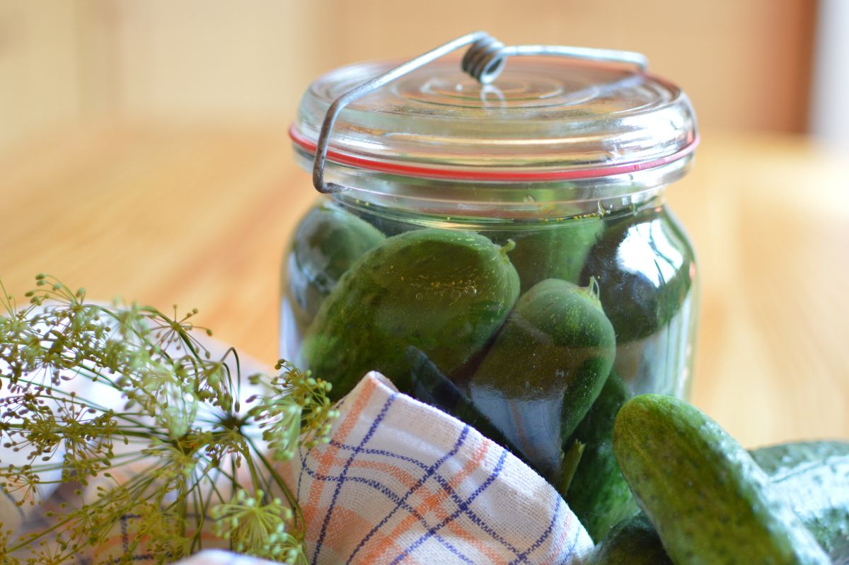 Low-salt cucumbers with unusual ingredients. You must try it!