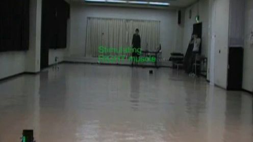 Zdalnie sterowany, żywy i latający żuk w akcji (wideo) 1