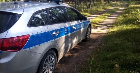 Zbierał jagody w lesie. Szybko tego pożałował. Wrócił z mandatem