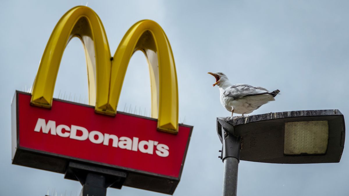 BRISTOL, UNITED KINGDOM - APRIL 28: A seagull calls as clouds form behind the Golden Arches logo of the fast food restaurant McDonald's, on April 28, 2024 in Bristol, England. Founded in 1940, American multinational fast food chain McDonald's Corporation, best known for its Big Mac hamburgers, cheeseburgers and french fries, is the world's largest fast food restaurant chain.  (Photo by Matt Cardy/Getty Images)