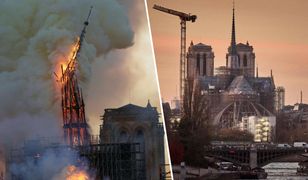 Otwarcie Notre Dame bez papieża. Przyjedzie m.in. Trump