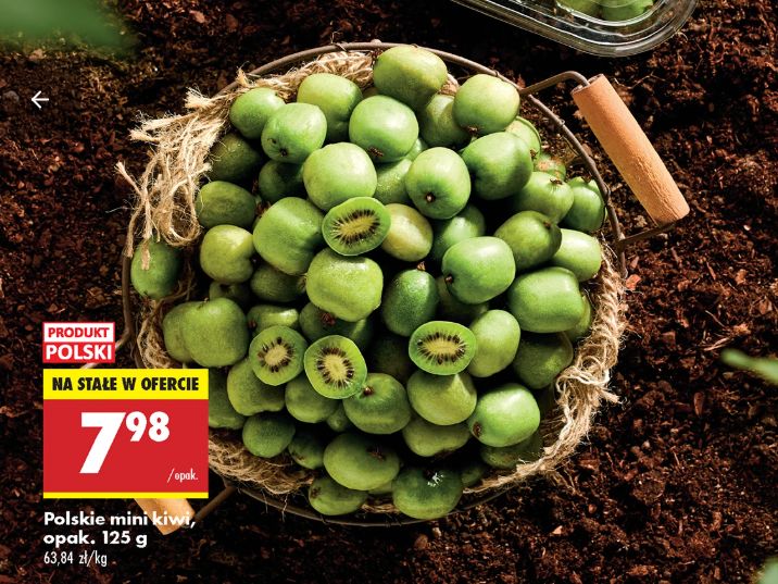 Polskie mini kiwi dostępne w Biedronce w promocji
