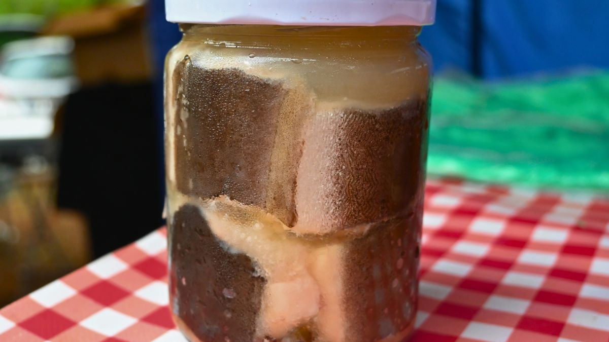 Węgorz w galarecie